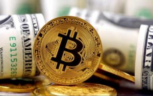Cổ Phiếu Tiền Số Đồng Loạt Tăng Nhờ Làn Sóng Mua Bitcoin